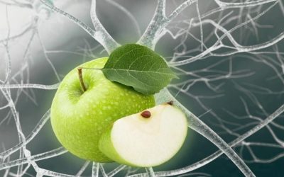 Is Apple Stem Cell the Answer to Youthful Skin?