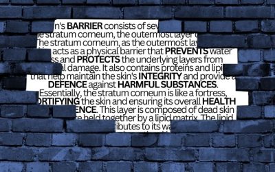 Latest Beauty Buzz Word: Barrier