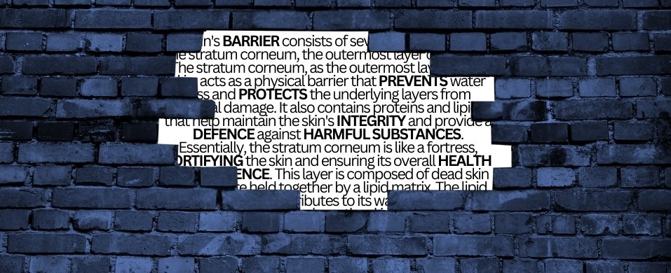 Latest Beauty Buzz Word: Barrier